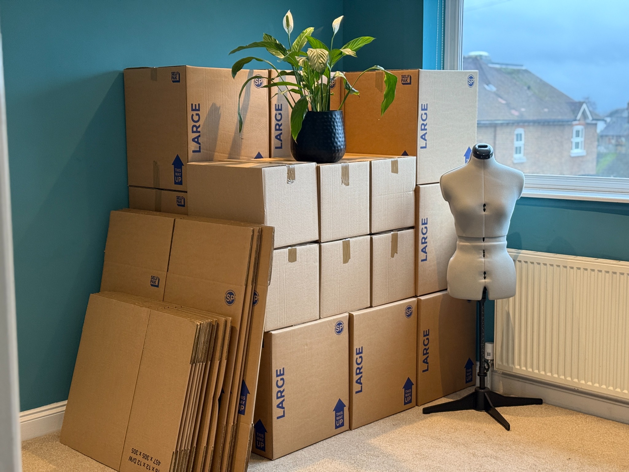 Strong moving boxes ready for packing